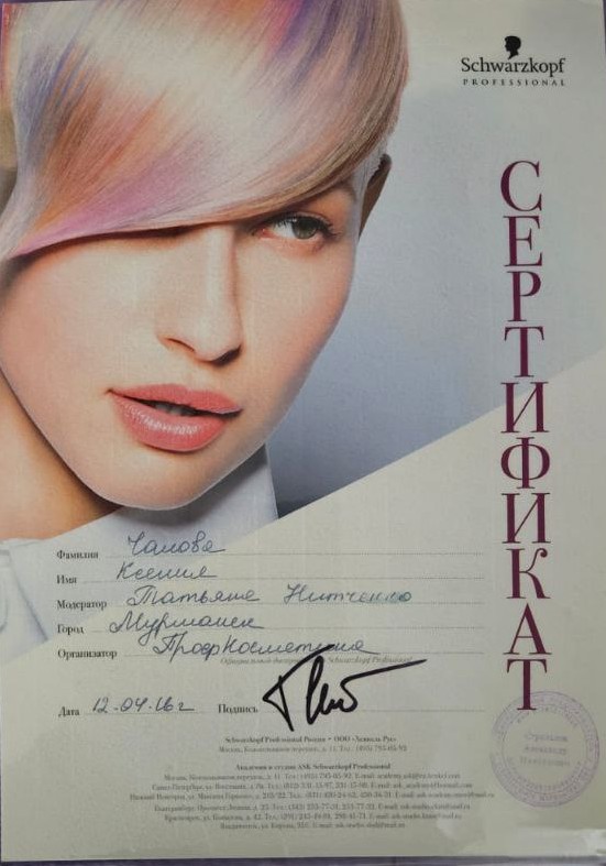 Семинар Schwarzkopf — техники окрашивания